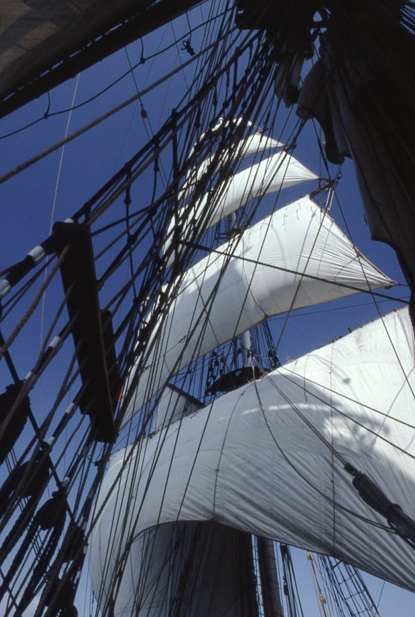 Square rigger 17
