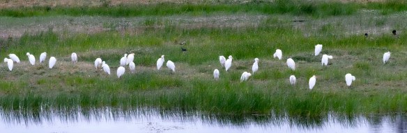 Extremadura, Spain 2017 04