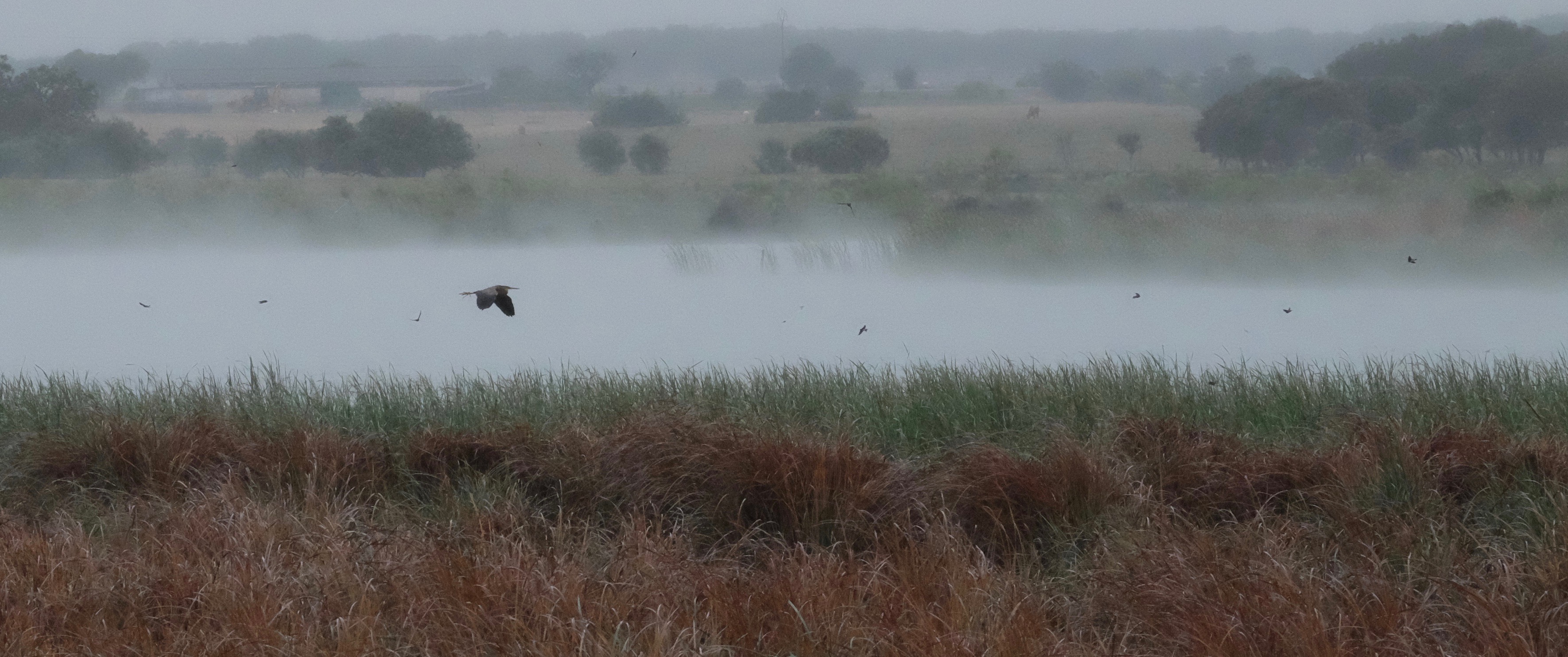 Extremadura, Spain 2017 04