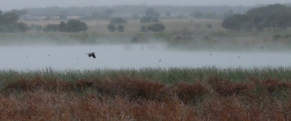 Extremadura, Spain 2017 04
