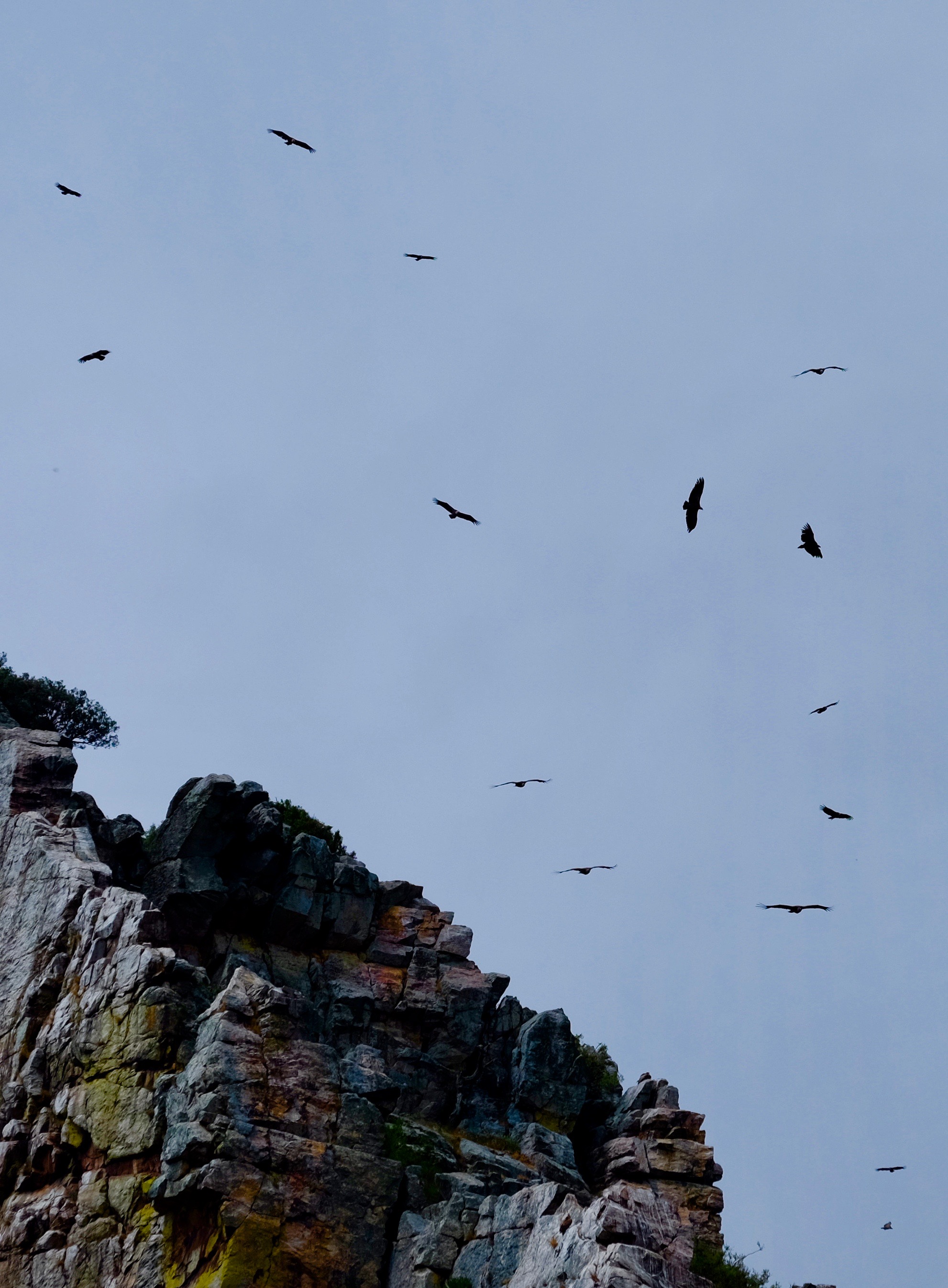 Extremadura, Spain 2017 04