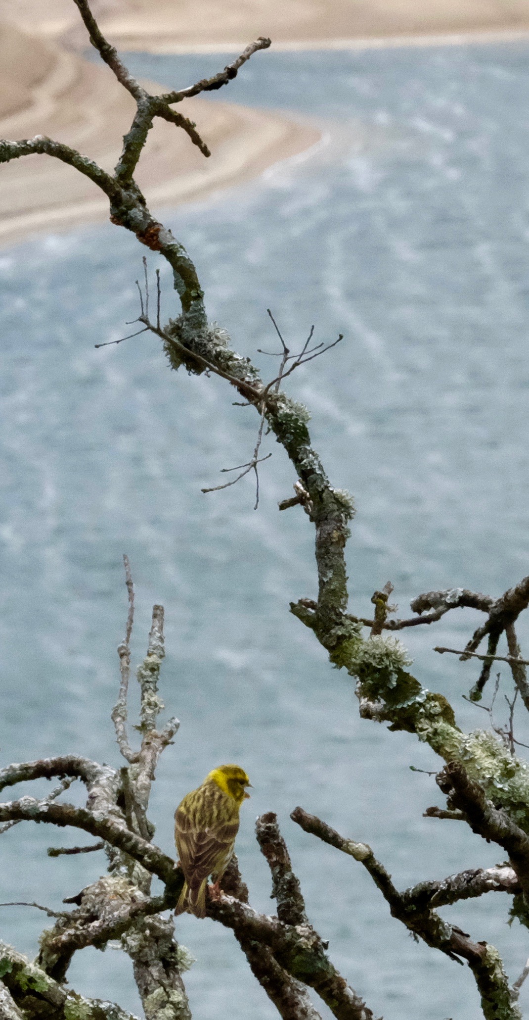 Extremadura, Spain 2017 04