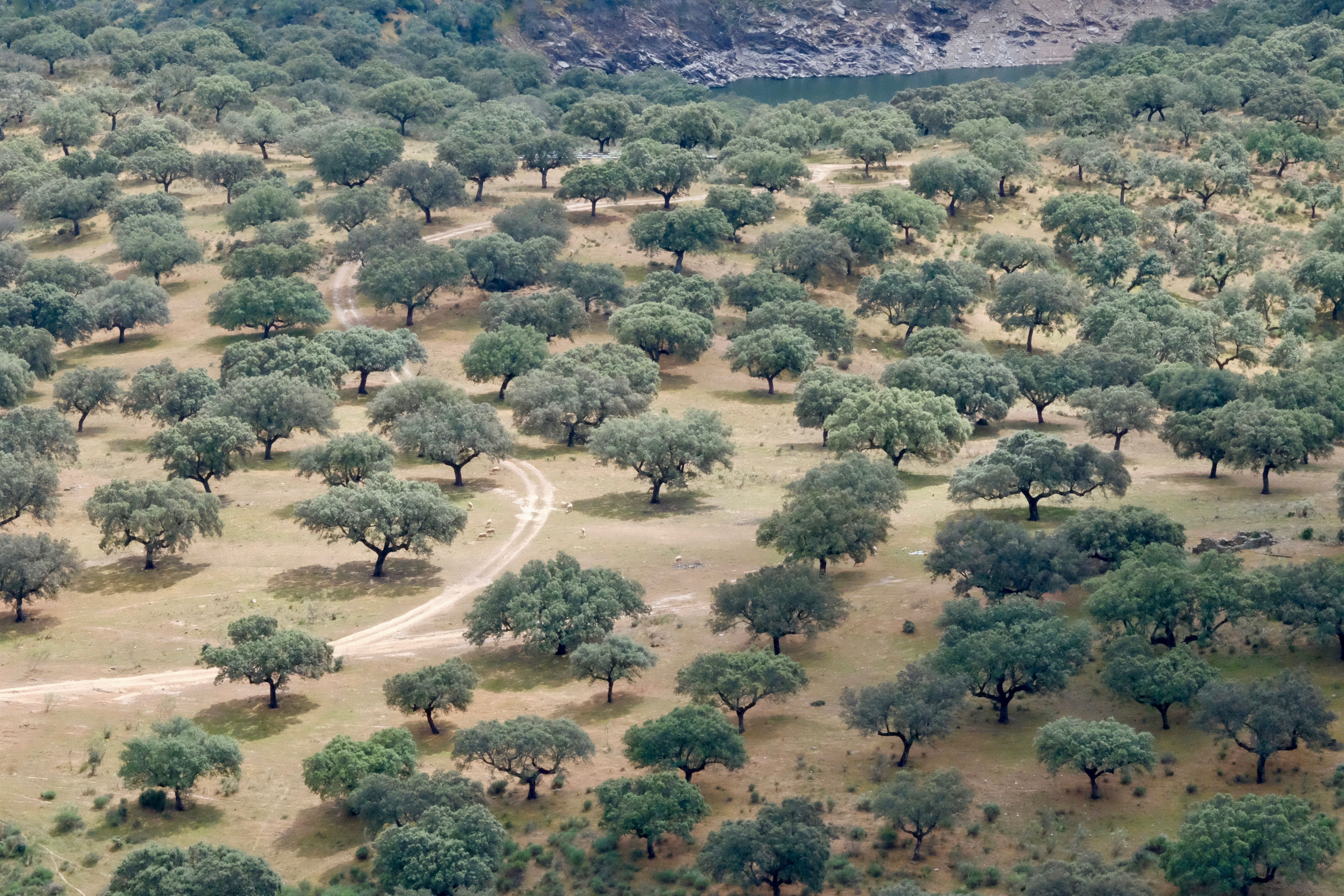 Extremadura, Spain 2017 04