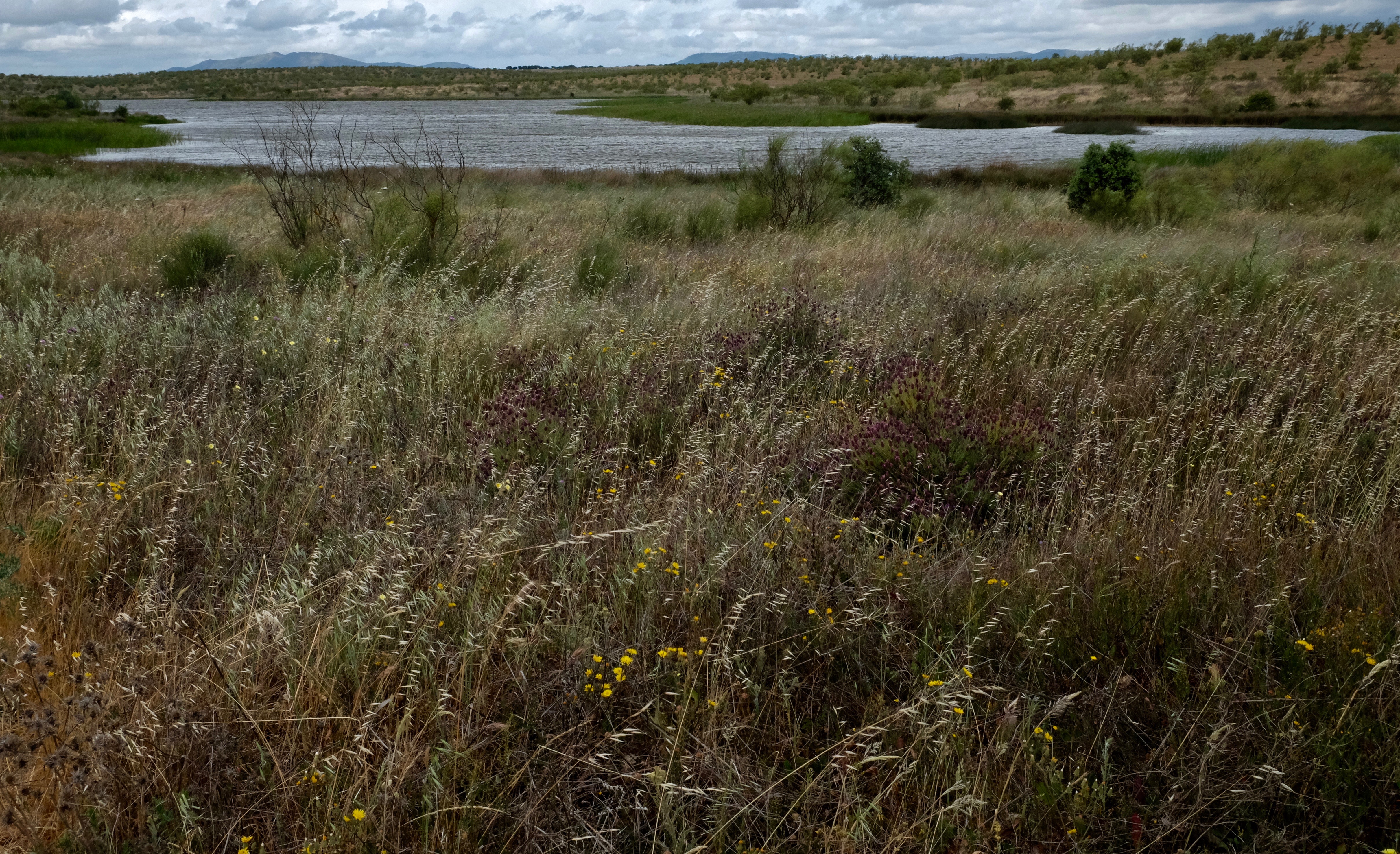 Extremadura, Spain 2017 04