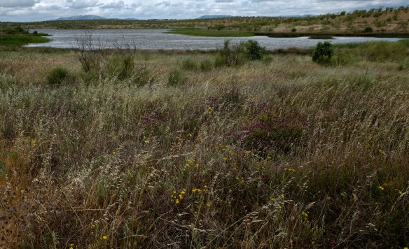 Extremadura, Spain 2017 04