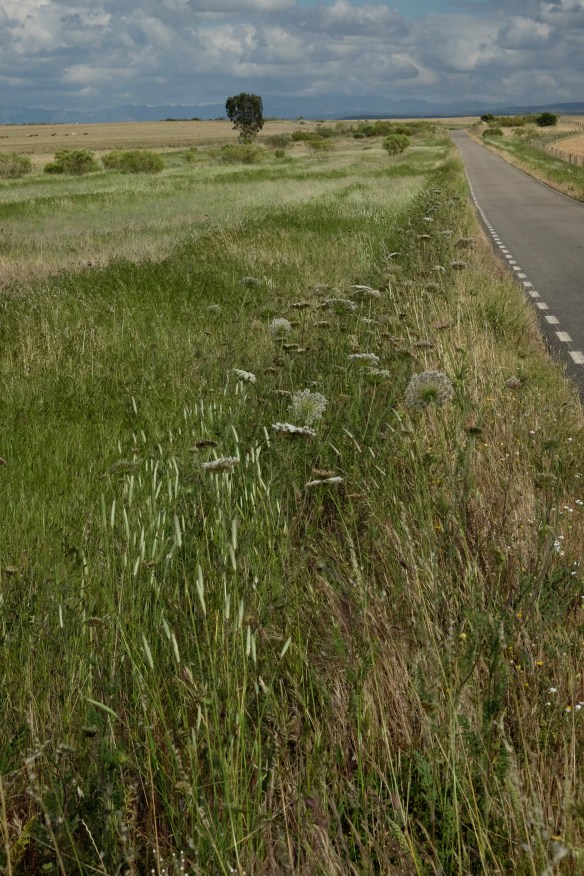 Extremadura, Spain 2017 04