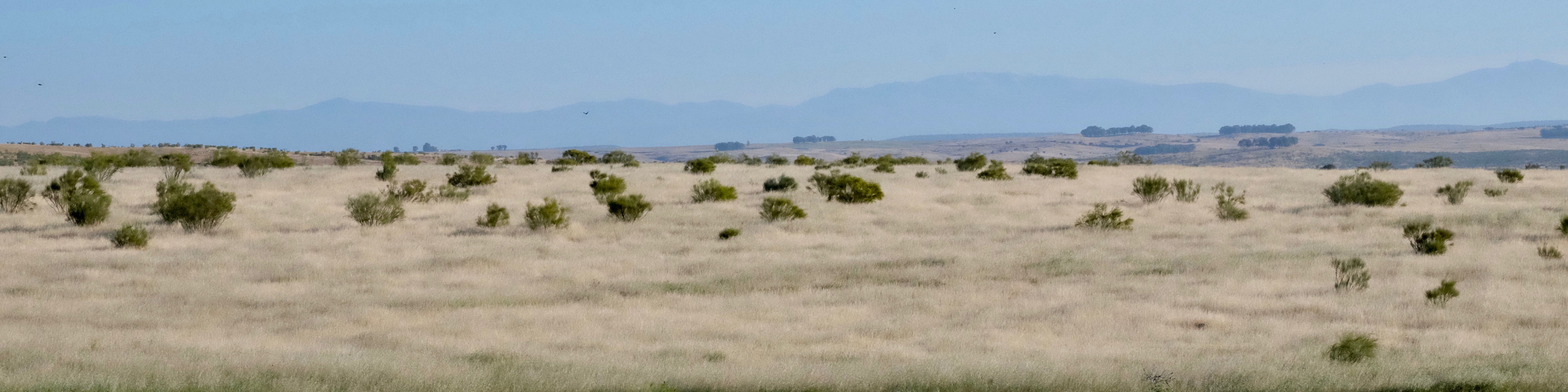 Extremadura, Spain 2017 04