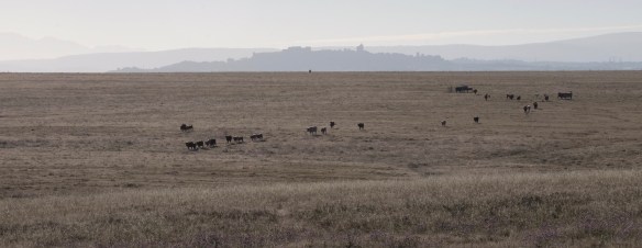 Extremadura, Spain 2017 04