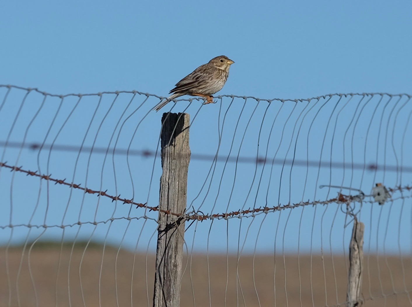 Extremadura, Spain 2017 04