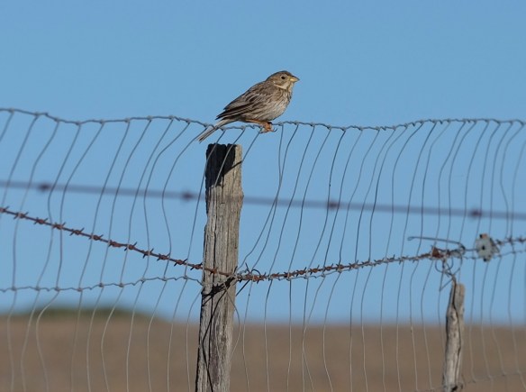 Extremadura, Spain 2017 04