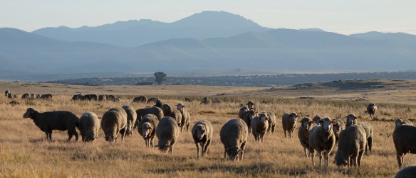 Extremadura, Spain 2017 04
