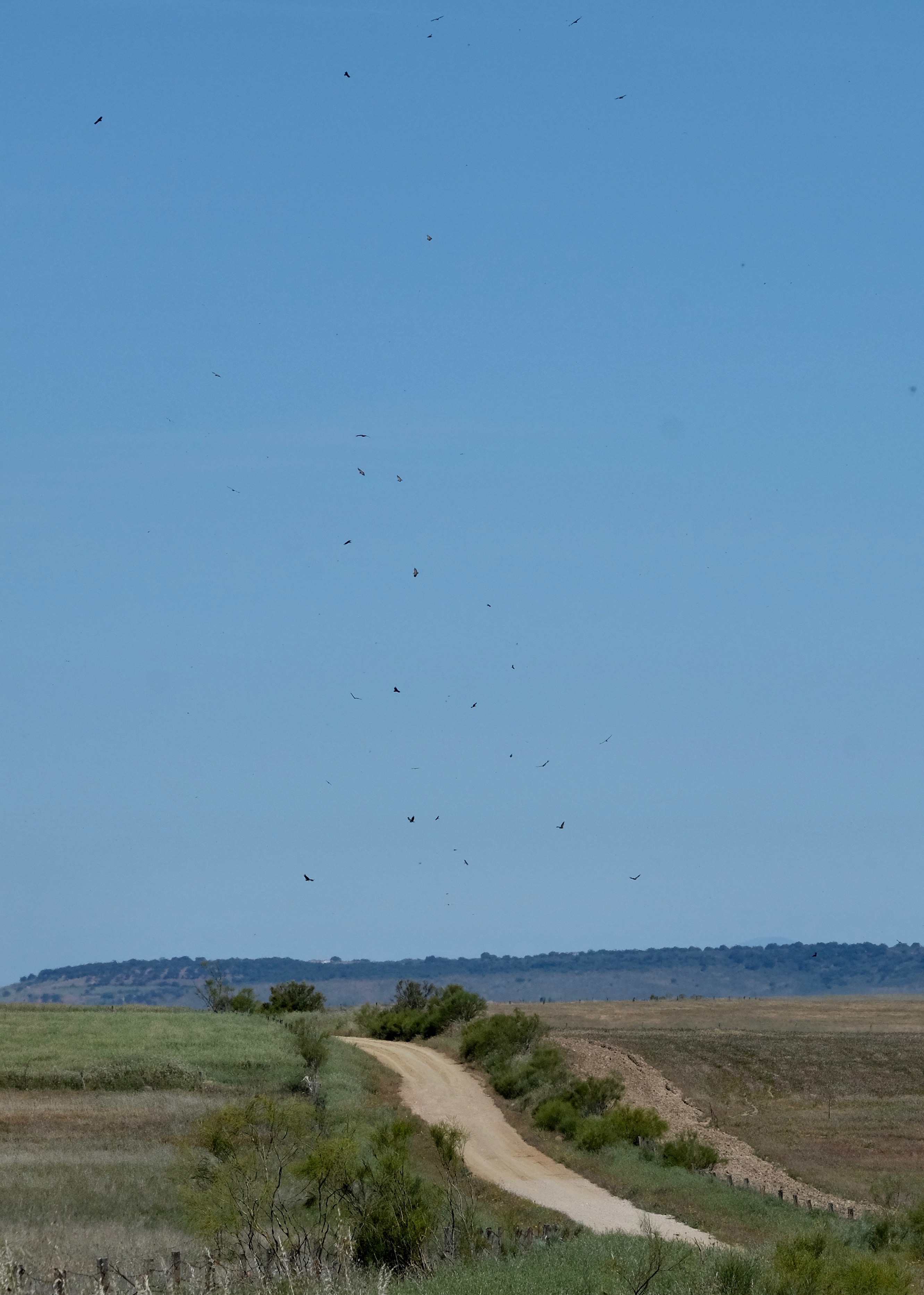 Extremadura, Spain 2017 04