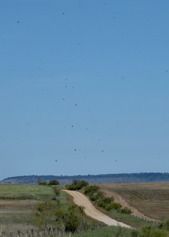 Extremadura, Spain 2017 04