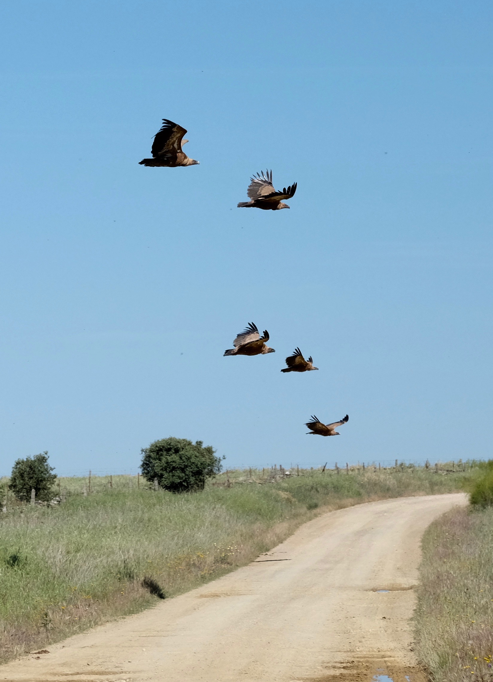 Extremadura, Spain 2017 04