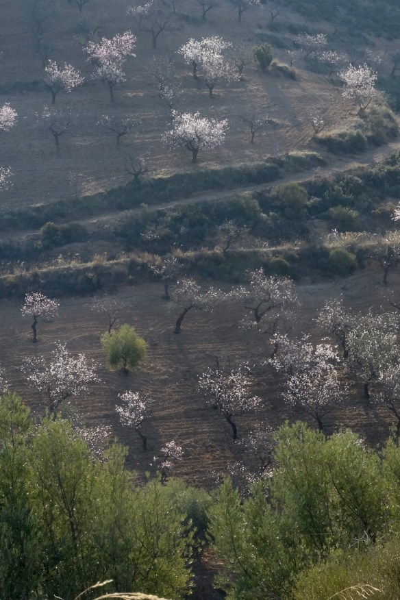 Alpujarras Spain